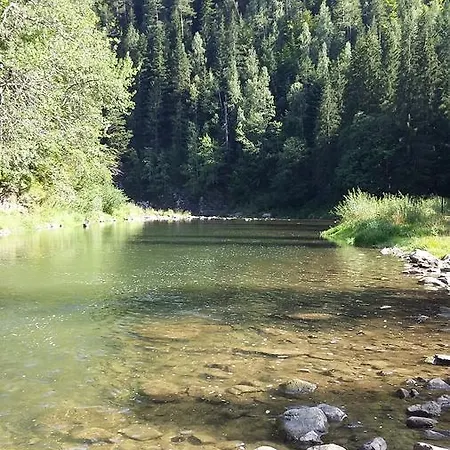 прованс * Татарів
